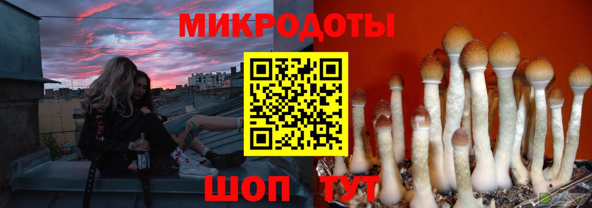 Карасук  Галлюциногенные грибы GOLDEN TEACHER  Вход с VPN 