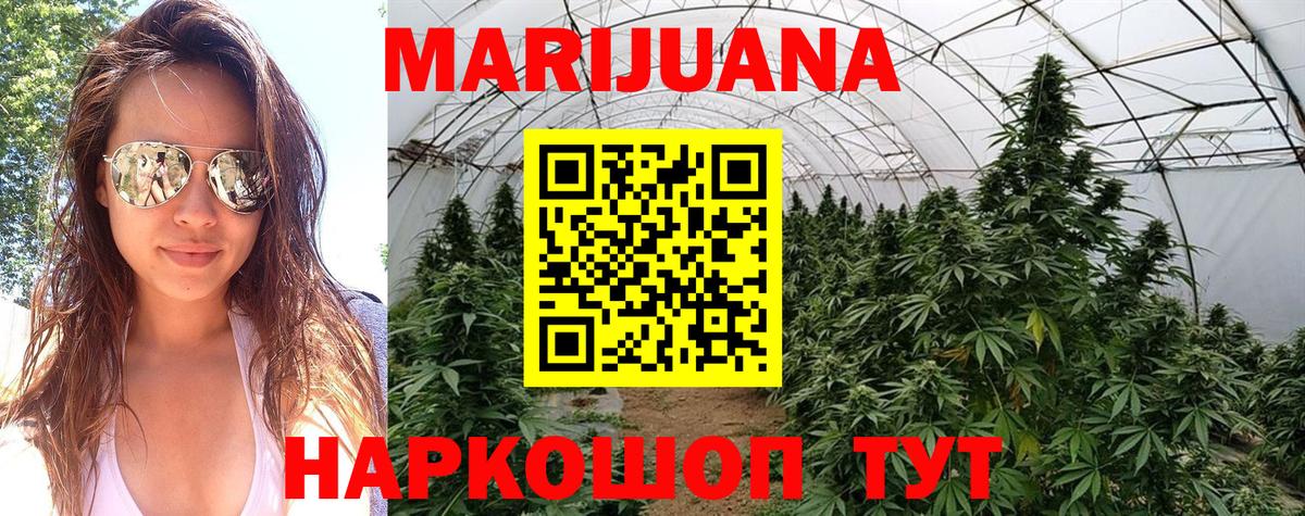 Марихуана OG Kush  Бошки Шишки семена  Вход с VPN  Карасук  Канабис AK-47 